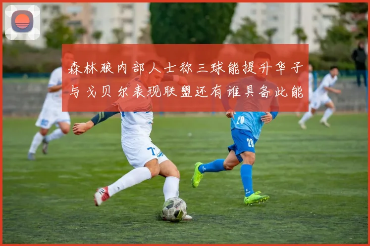 森林狼内部人士称三球能提升华子与戈贝尔表现联盟还有谁具备此能力